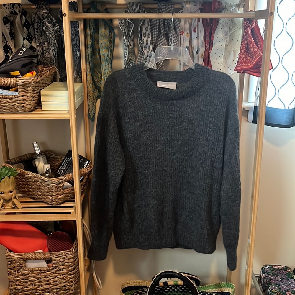 Everlane Oversized Alpaca Crew Sweater
